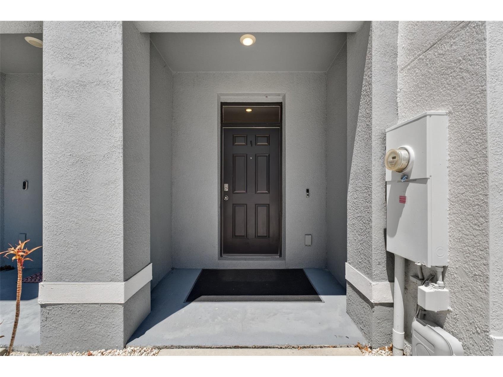 33105 Major Oak Drive Wesley Chapel FL 33545 TB8498948 image6