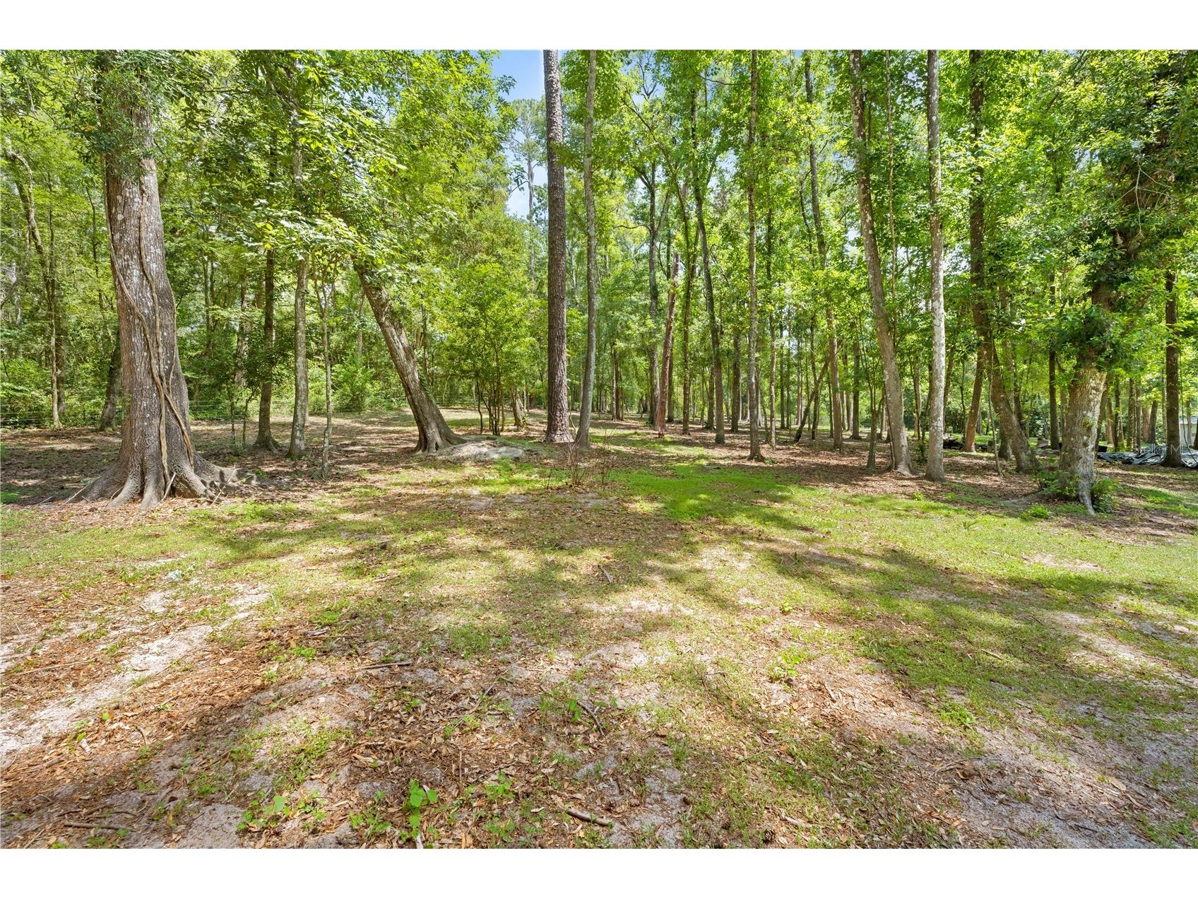3311 Baseball Pond Road Brooksville FL 34602 W7887123 image11