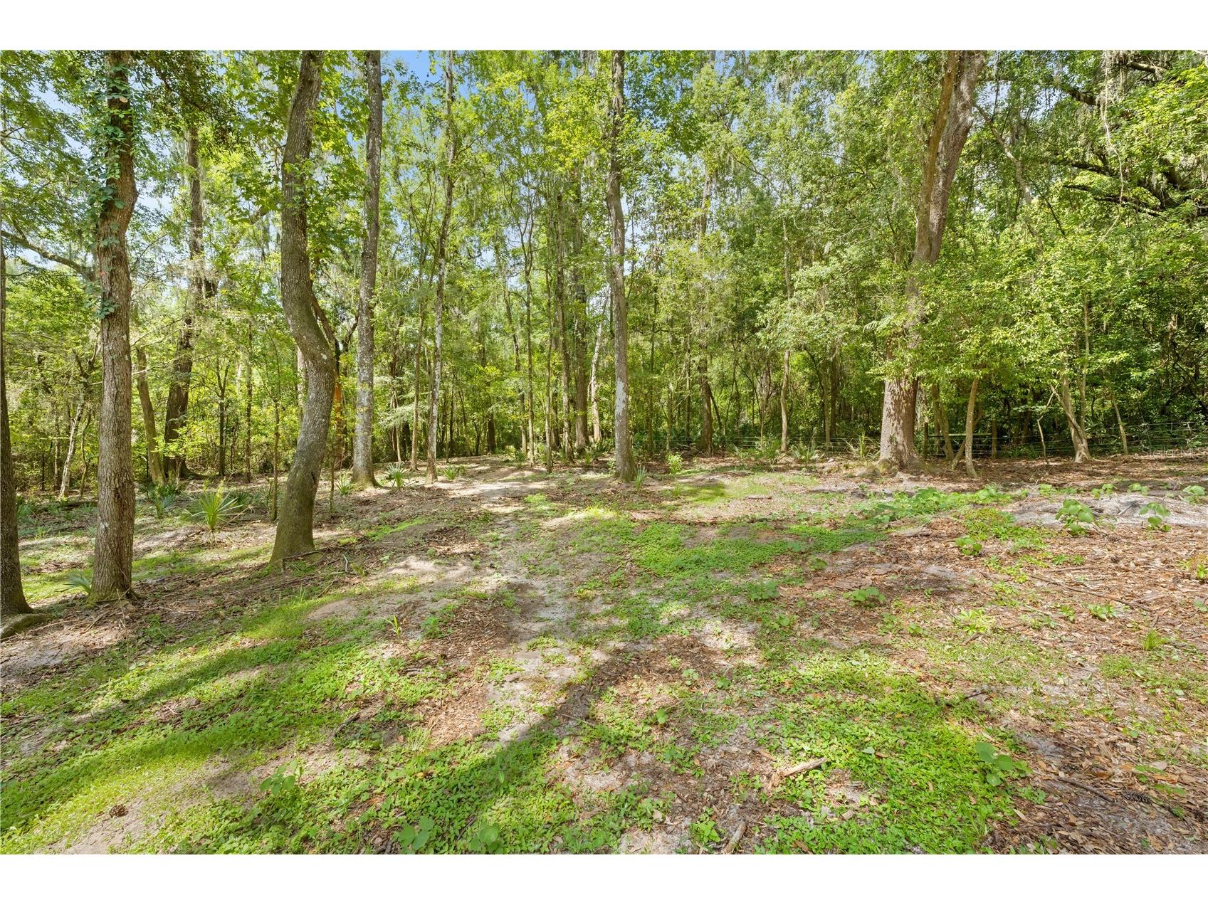 3311 Baseball Pond Road Brooksville FL 34602 W7887123 image12