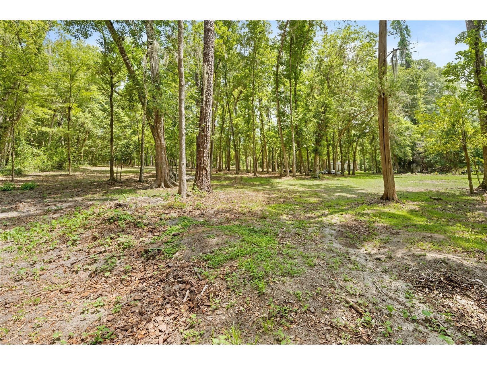 3311 Baseball Pond Road Brooksville FL 34602 W7887123 image13