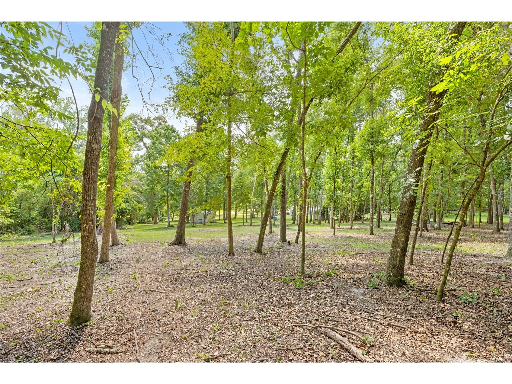 3311 Baseball Pond Road Brooksville FL 34602 W7887123 image14