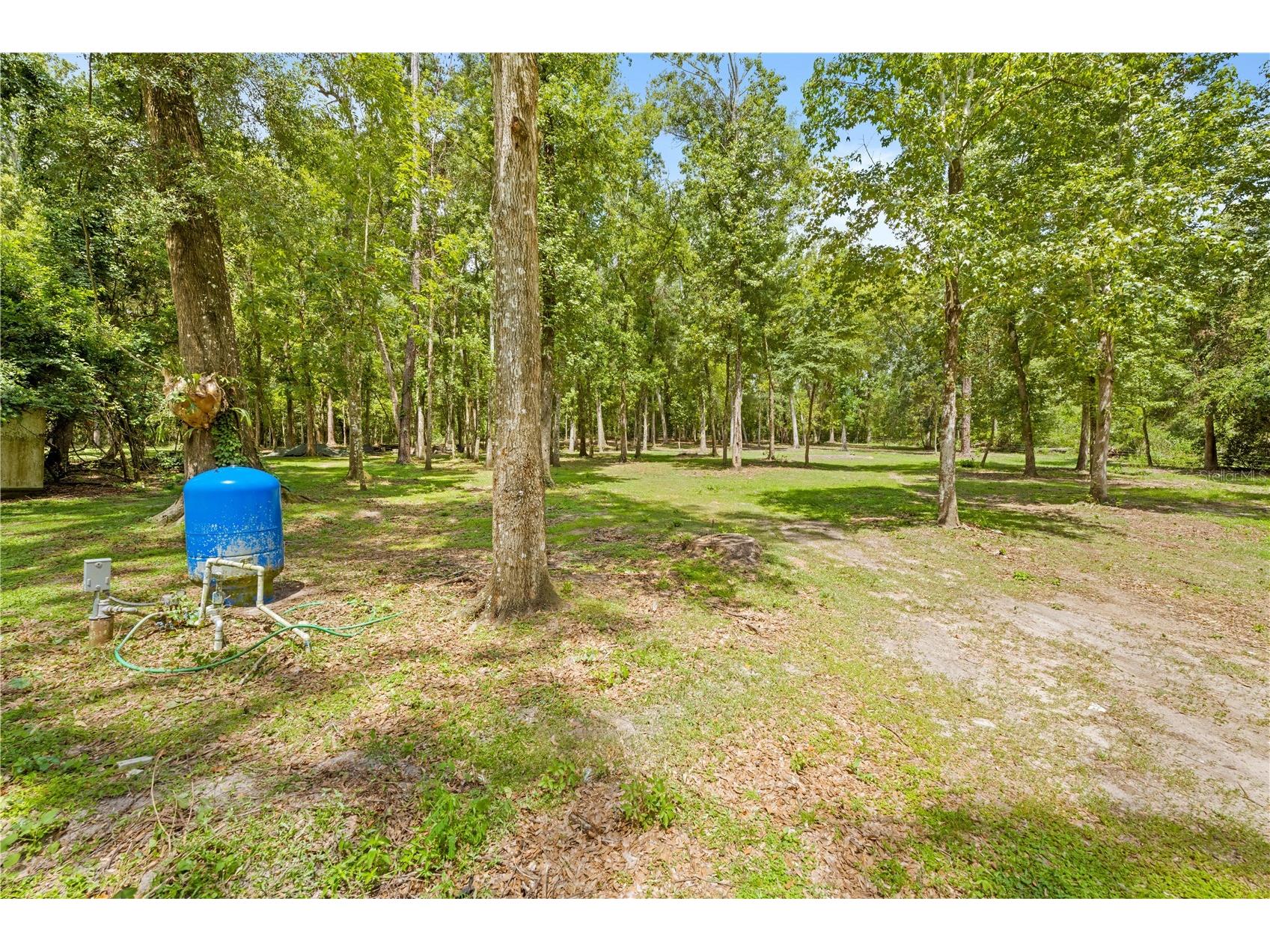 3311 Baseball Pond Road Brooksville FL 34602 W7887123 image6