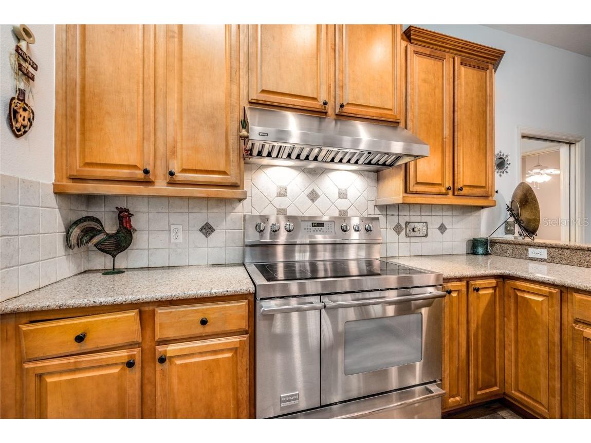 3311 E 155th Avenue Parrish FL 34219 A4660205 image20