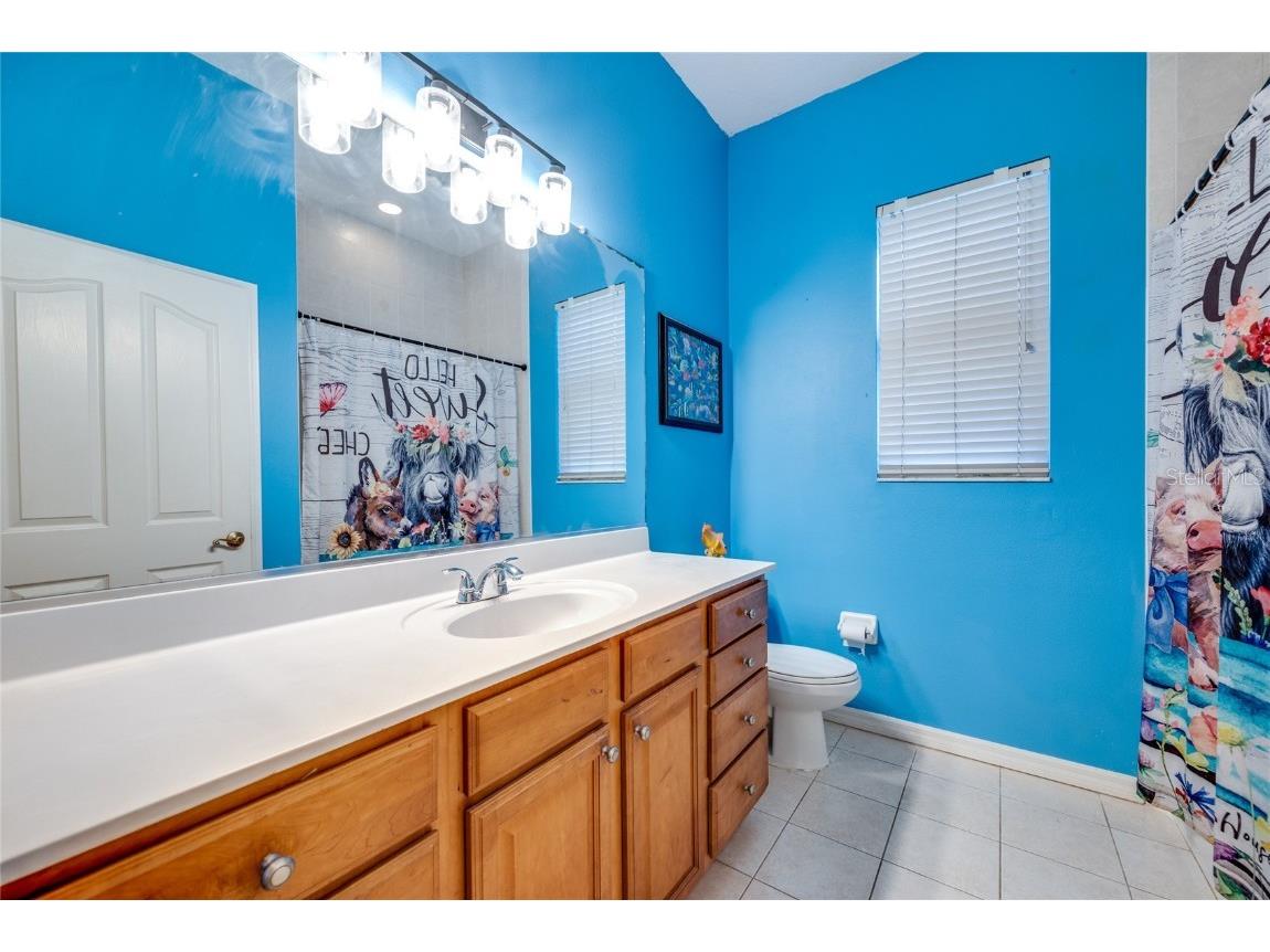 3311 E 155th Avenue Parrish FL 34219 A4660205 image40