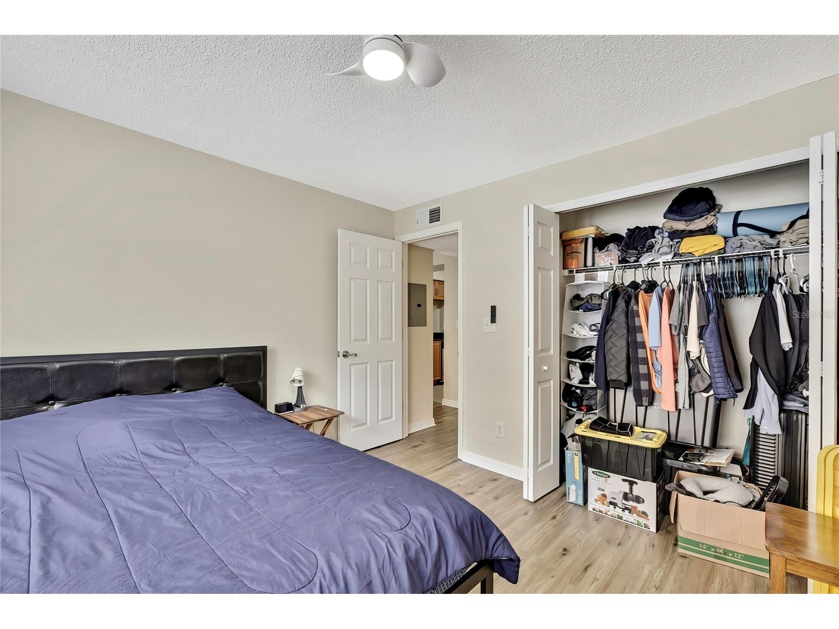 3311 Haviland Court #203 Palm Harbor FL 34684 TB8478035 image12