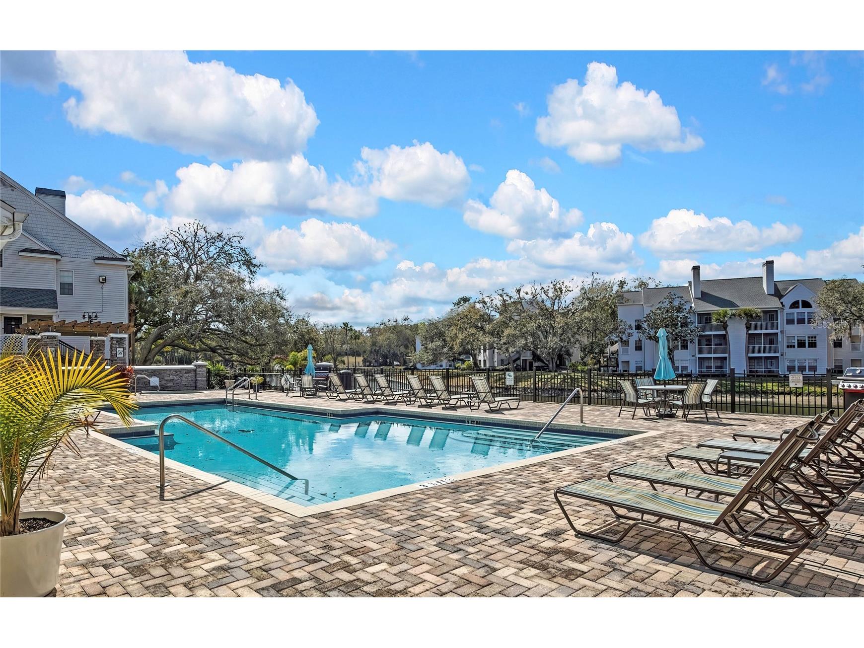 3311 Haviland Court #203 Palm Harbor FL 34684 TB8478035 image17