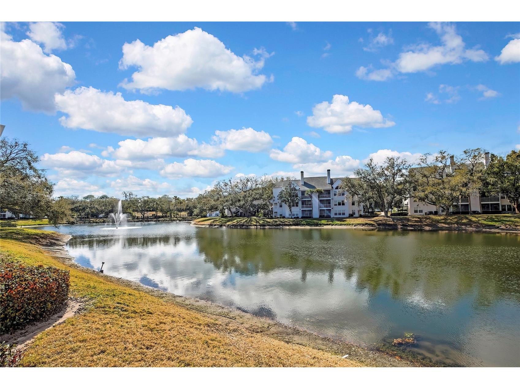 3311 Haviland Court #203 Palm Harbor FL 34684 TB8478035 image18