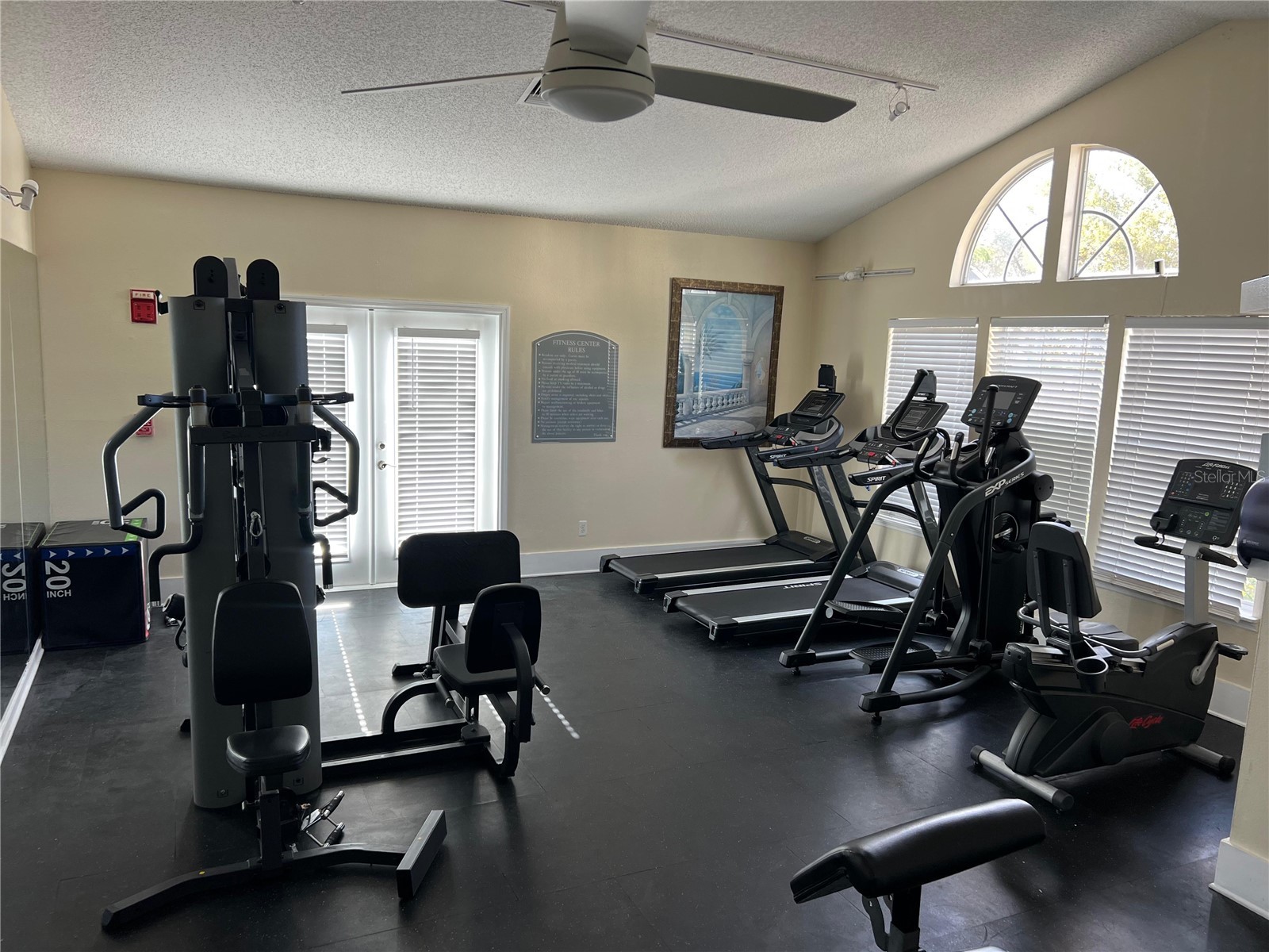 3311 Haviland Court #203 Palm Harbor FL 34684 TB8478035 image23