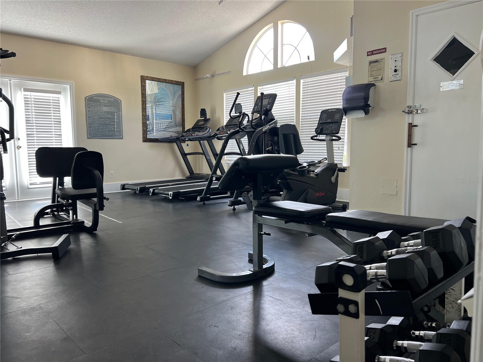 3311 Haviland Court #203 Palm Harbor FL 34684 TB8478035 image24