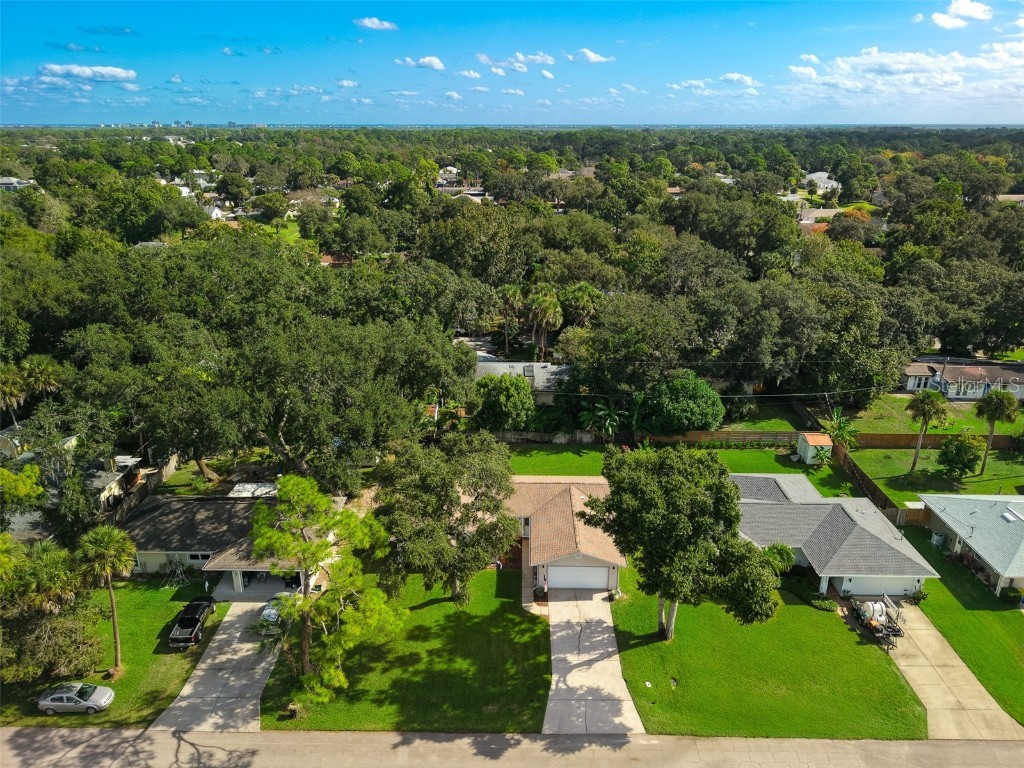 3311 Needle Palm Drive Edgewater FL 32141 O6356224 image32