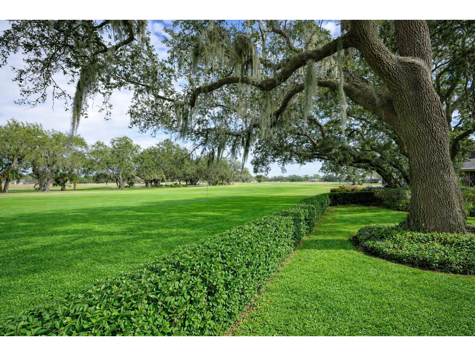 3311 Oak Vista Drive Port Orange FL 32128 O6381709 image11