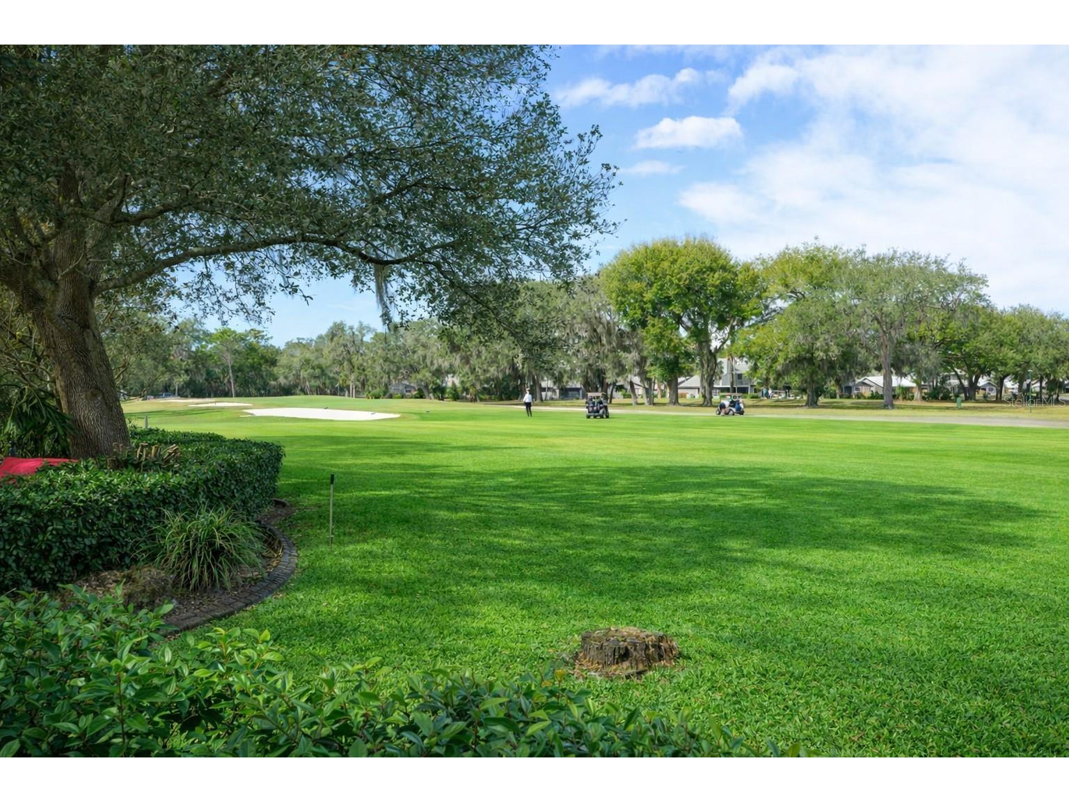 3311 Oak Vista Drive Port Orange FL 32128 O6381709 image12