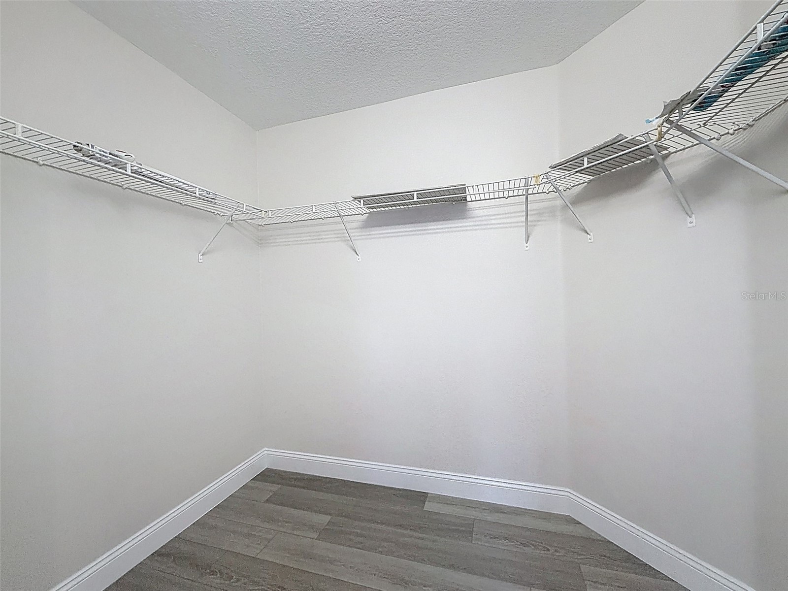 3311 Sisal Loop Wesley Chapel FL 33544 TB8493770 image30