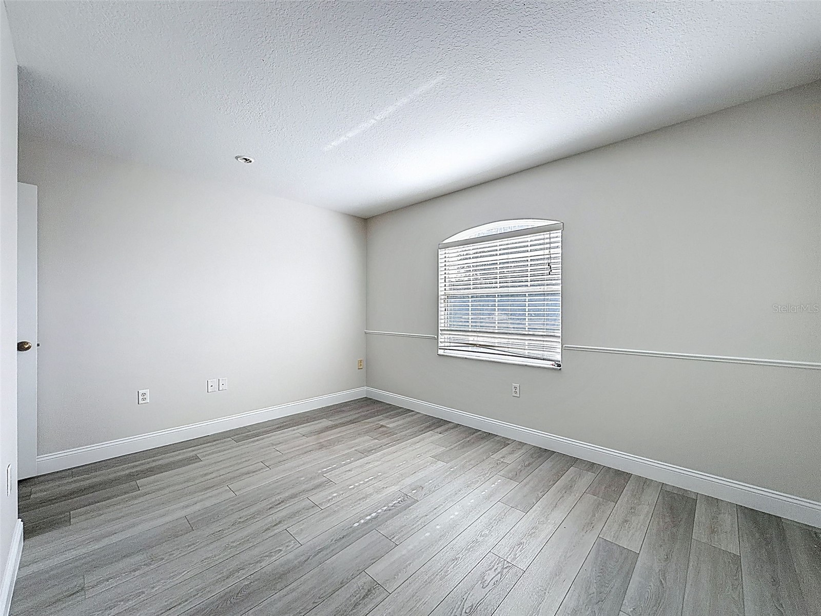 3311 Sisal Loop Wesley Chapel FL 33544 TB8493770 image46
