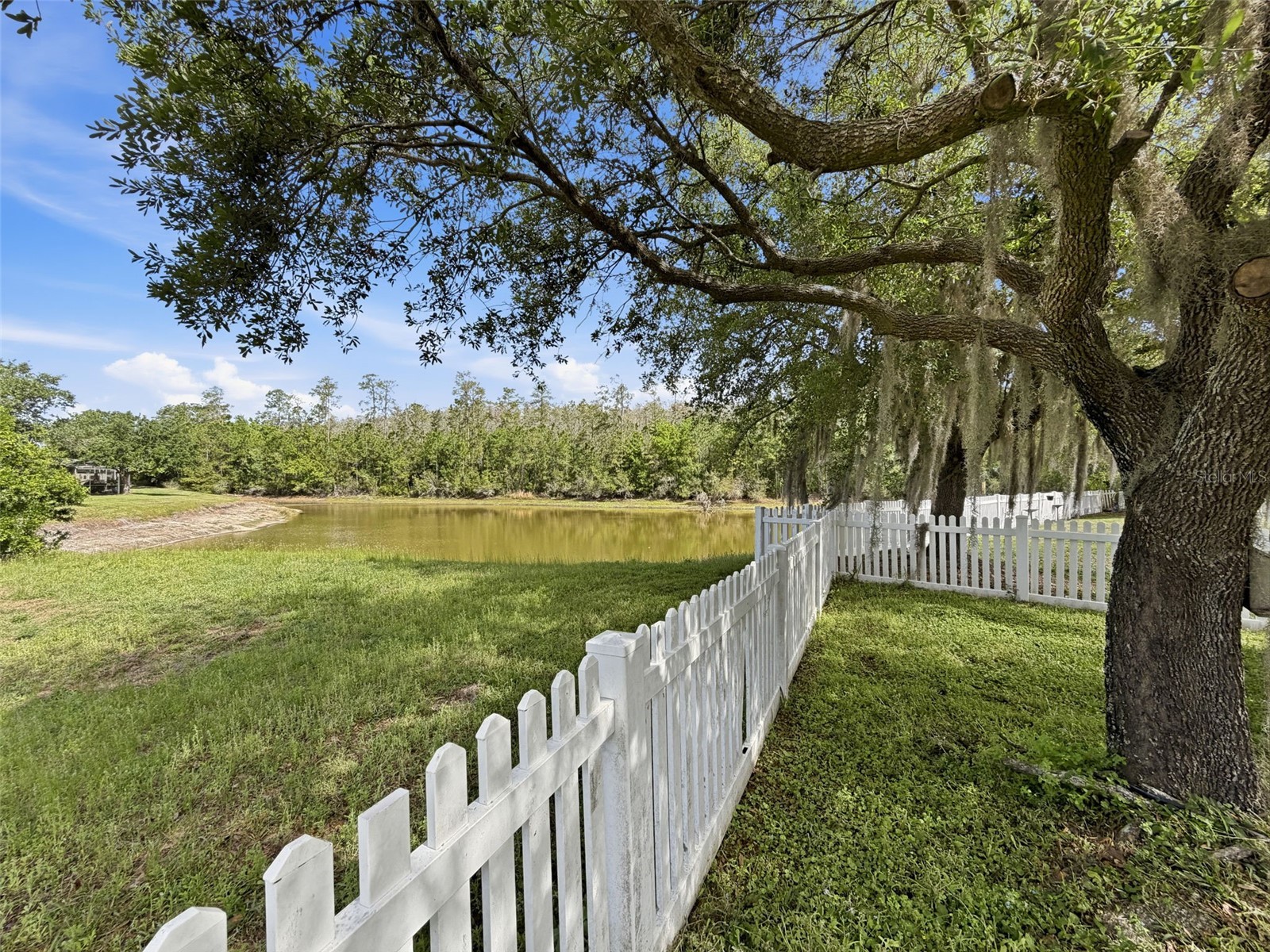 3311 Sisal Loop Wesley Chapel FL 33544 TB8493770 image70