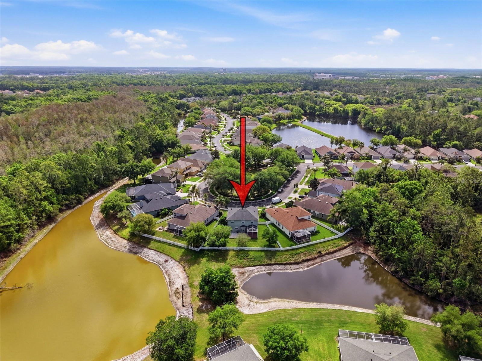 3311 Sisal Loop Wesley Chapel FL 33544 TB8493770 image73