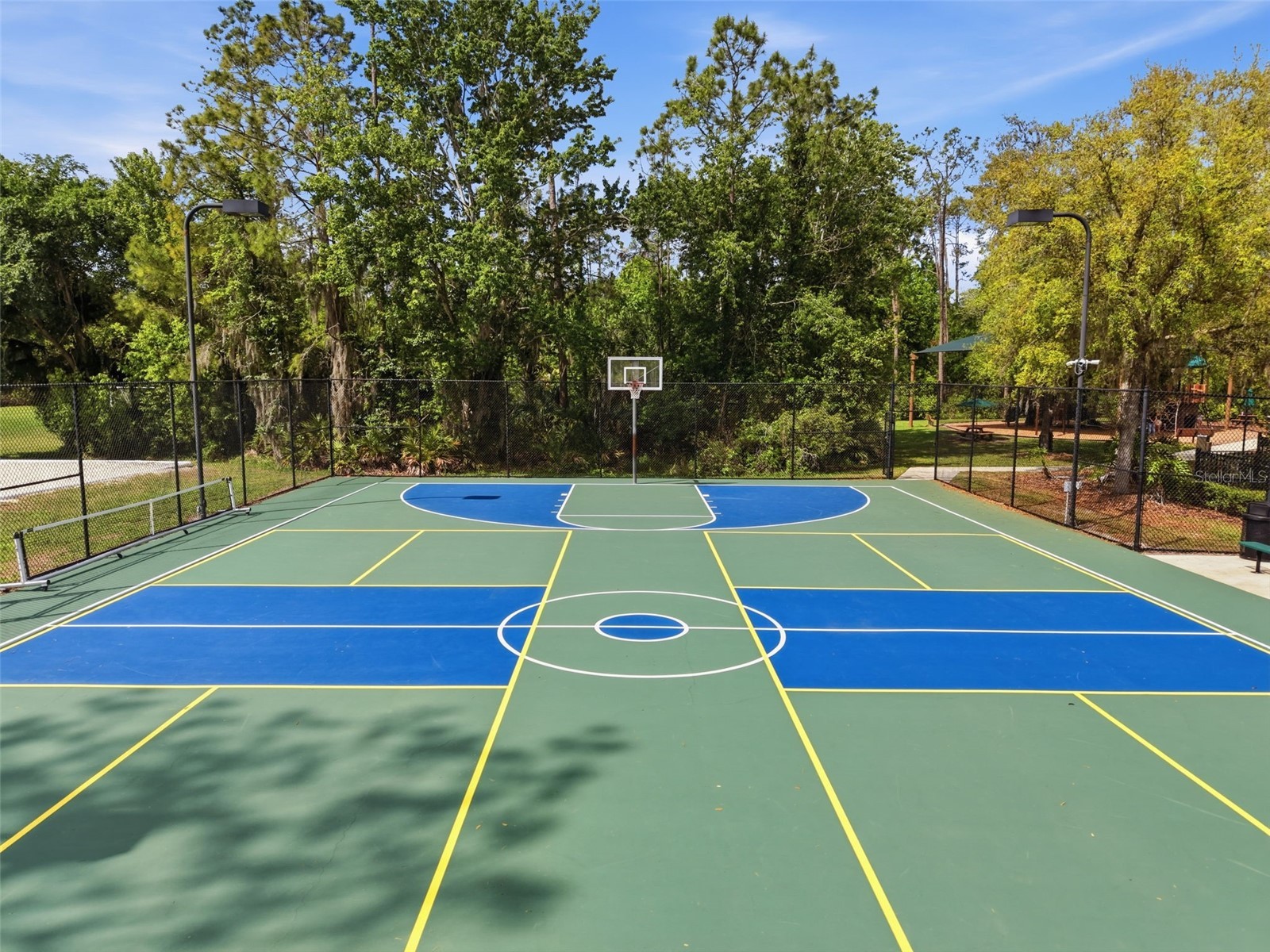 3311 Sisal Loop Wesley Chapel FL 33544 TB8493770 image75