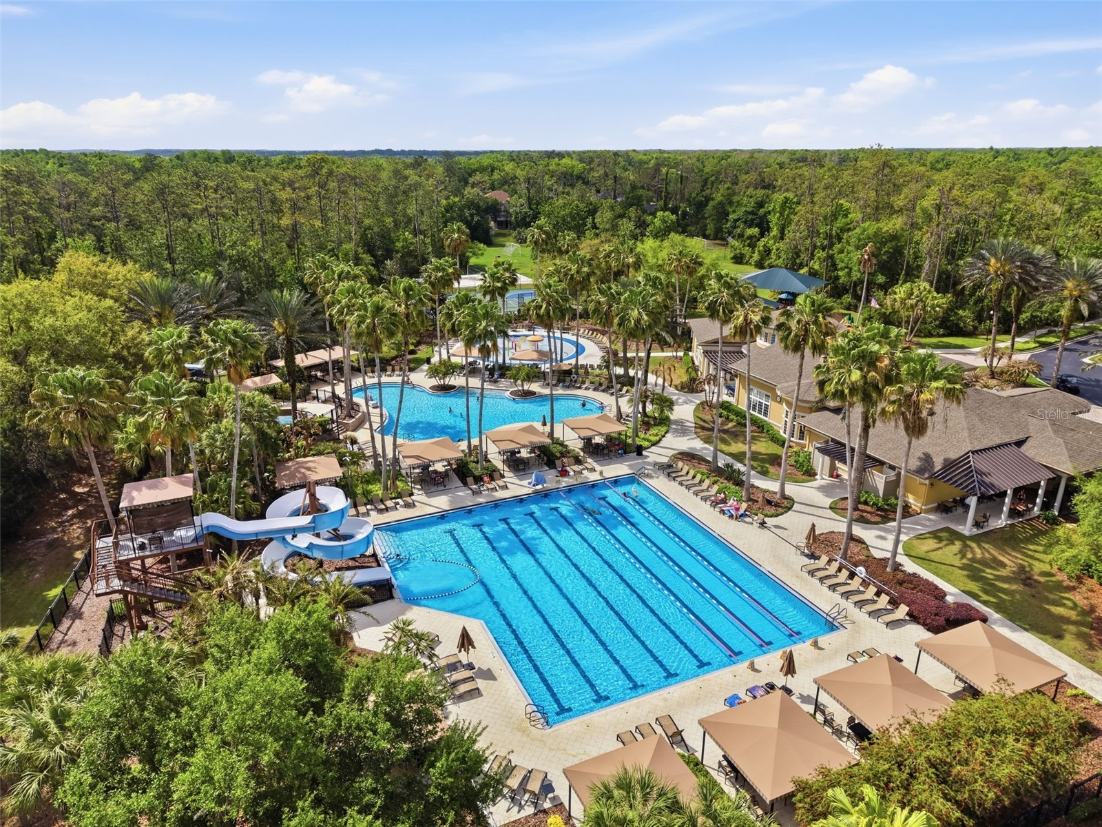 3311 Sisal Loop Wesley Chapel FL 33544 TB8493770 image81