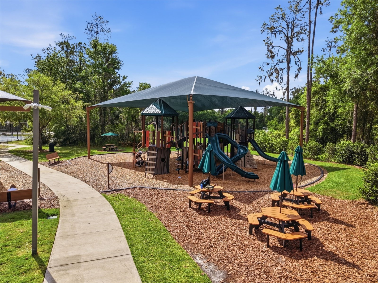 3311 Sisal Loop Wesley Chapel FL 33544 TB8493770 image82