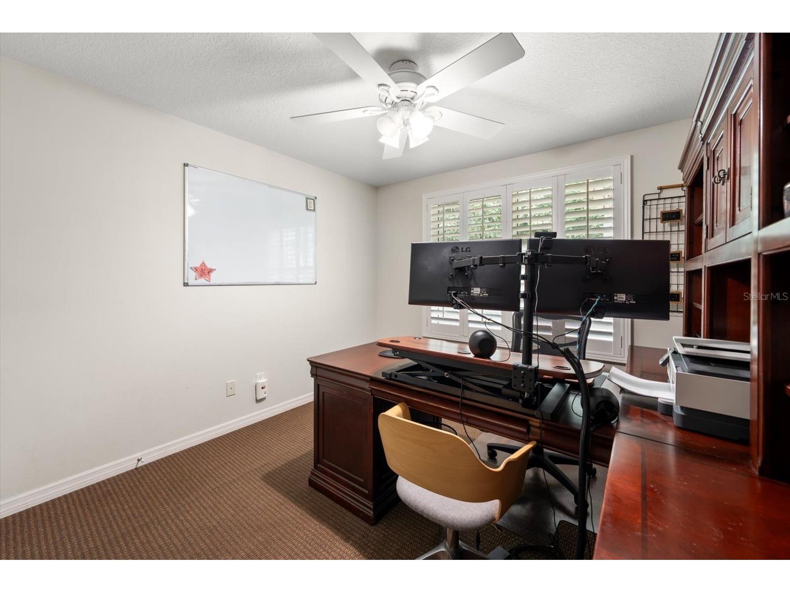 3311 Tanglewood Trail Palm Harbor FL 34685 TB8495862 image39