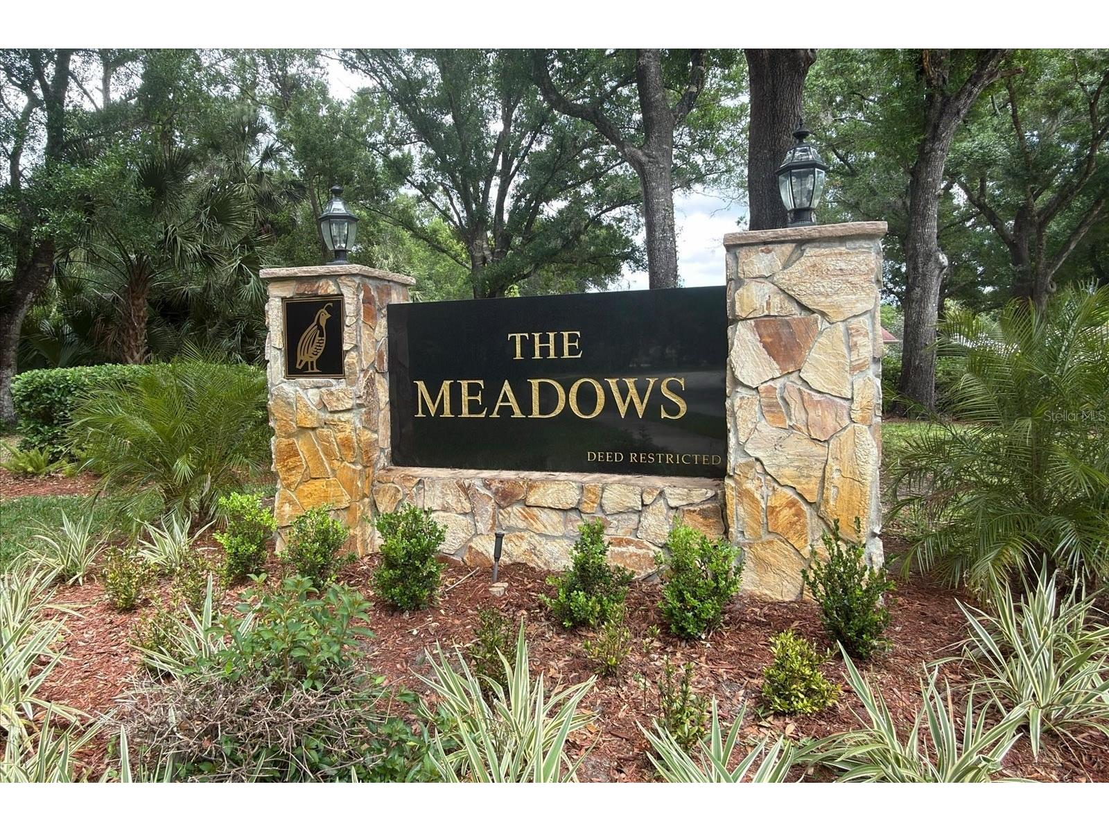 3311 Tanglewood Trail Palm Harbor FL 34685 TB8495862 image4