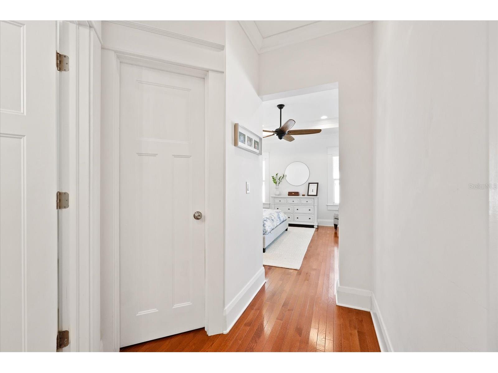 3311 W San Pedro Street Tampa FL 33629 TB8490171 image30