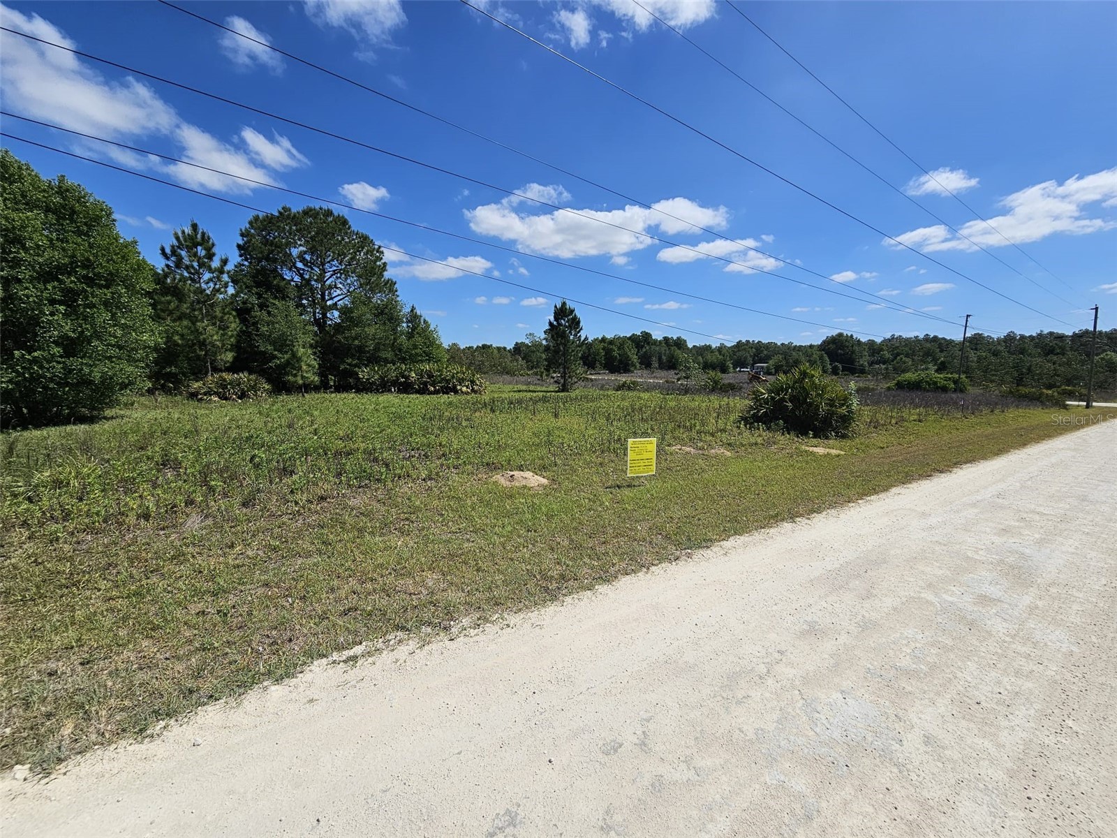 33111 Square Stone Street Webster FL 33597 TB8476224 image1