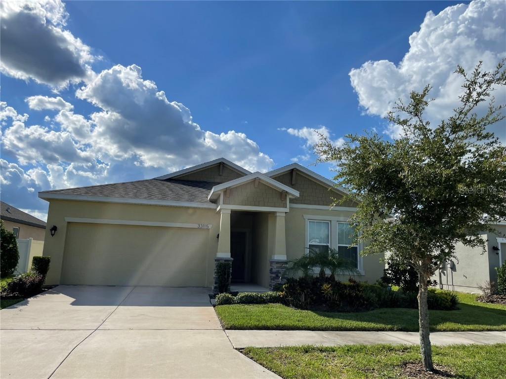 33115 Frogs Leap Lane Wesley Chapel FL 33545 T3476661 image1