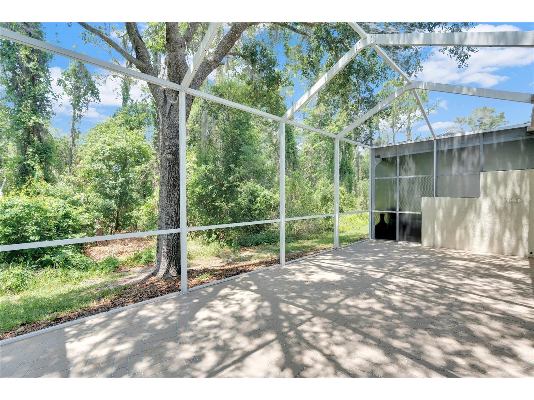 3312 Chapel Creek Circle Wesley Chapel FL 33544 TB8510441 image33