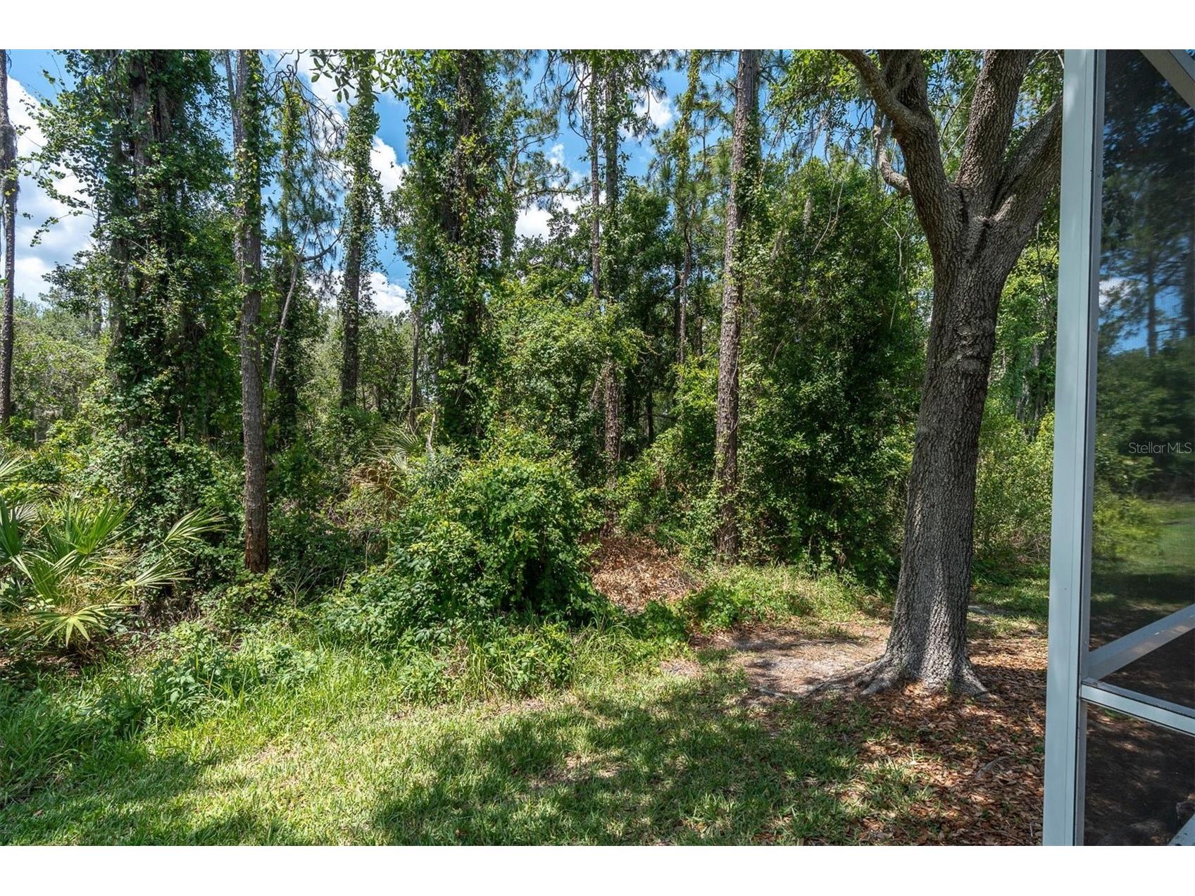3312 Chapel Creek Circle Wesley Chapel FL 33544 TB8510441 image36