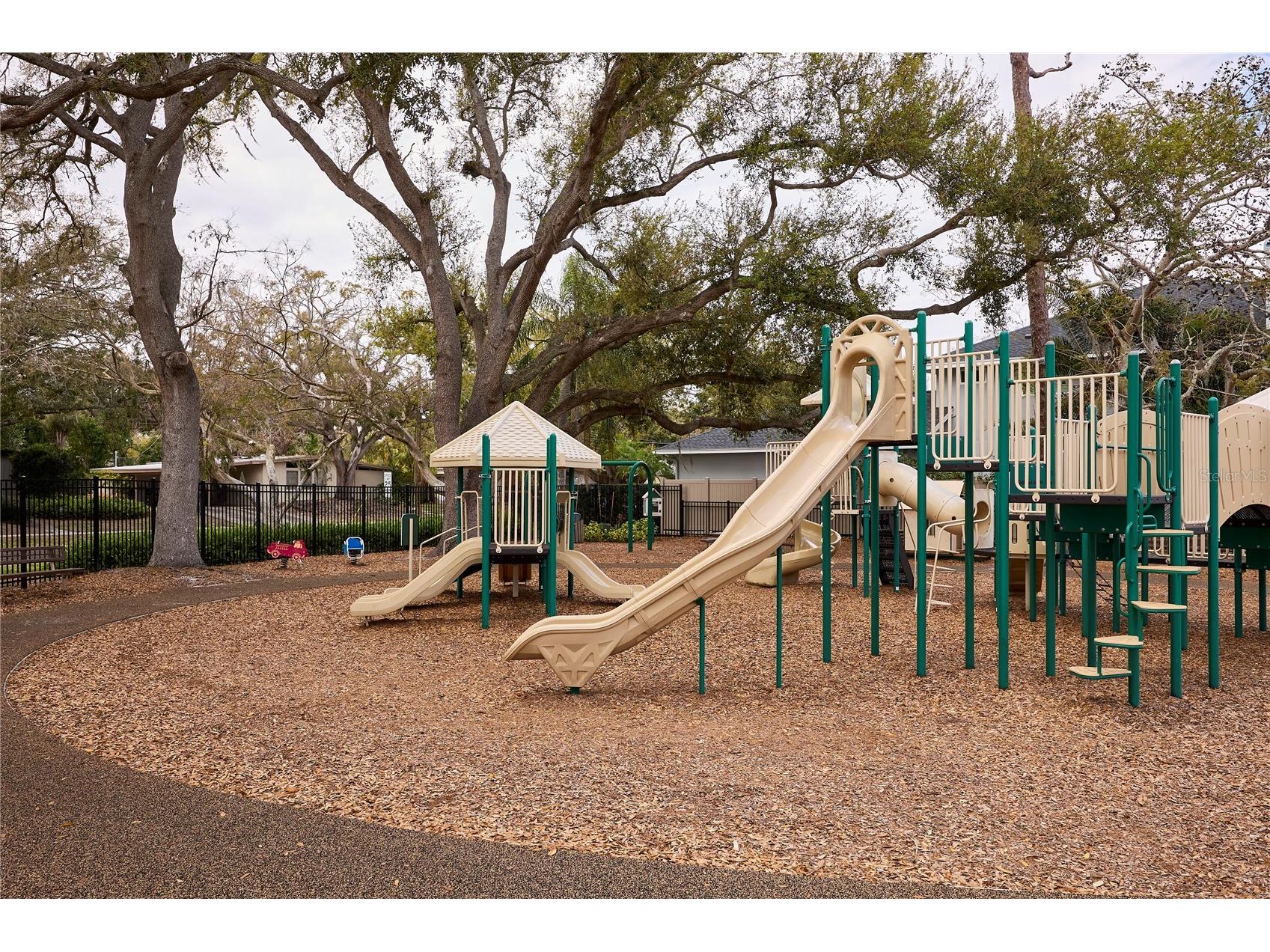 3312 Nakora Drive Tampa FL 33618 TB8527036 image40