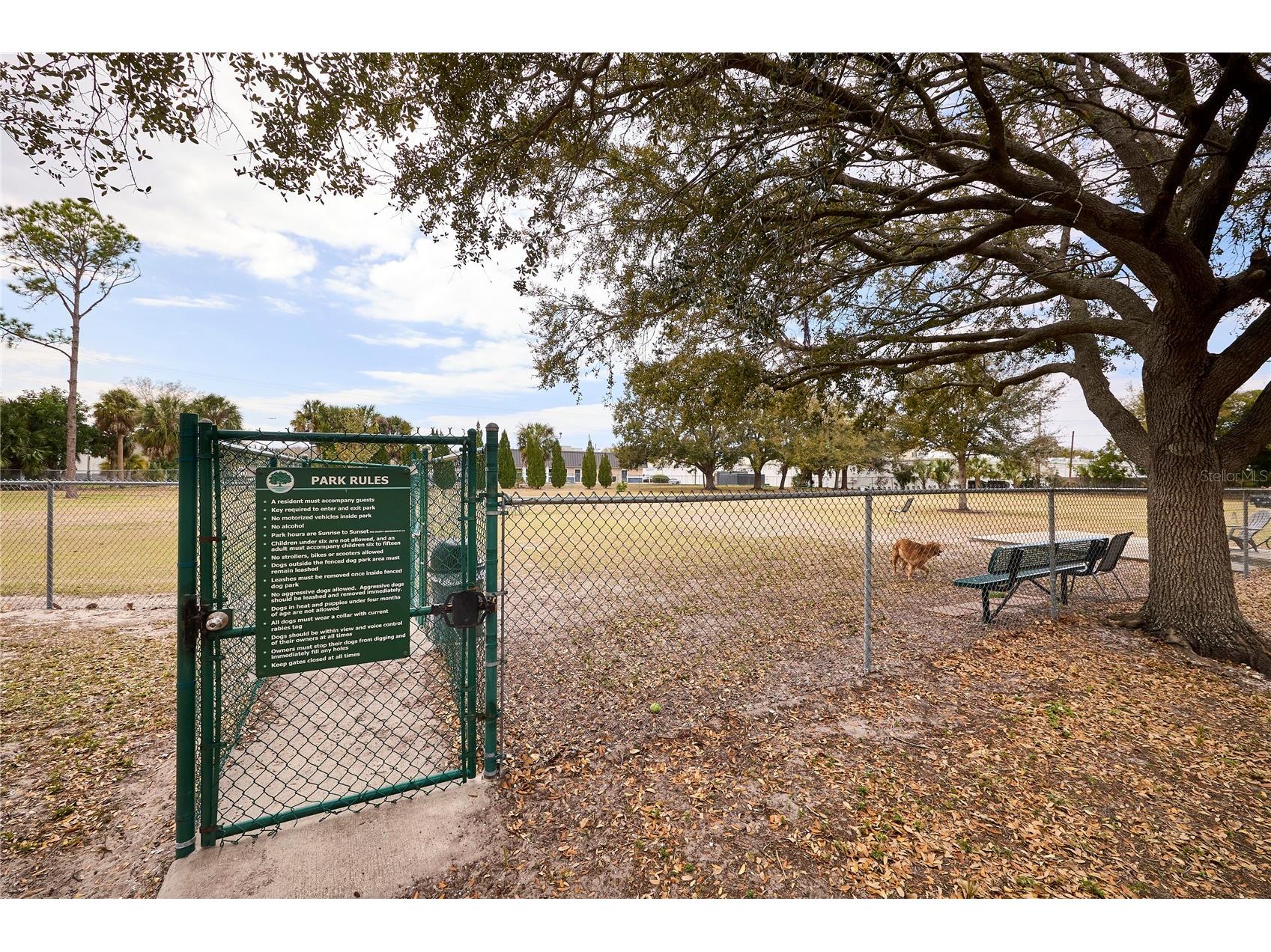 3312 Nakora Drive Tampa FL 33618 TB8527036 image46