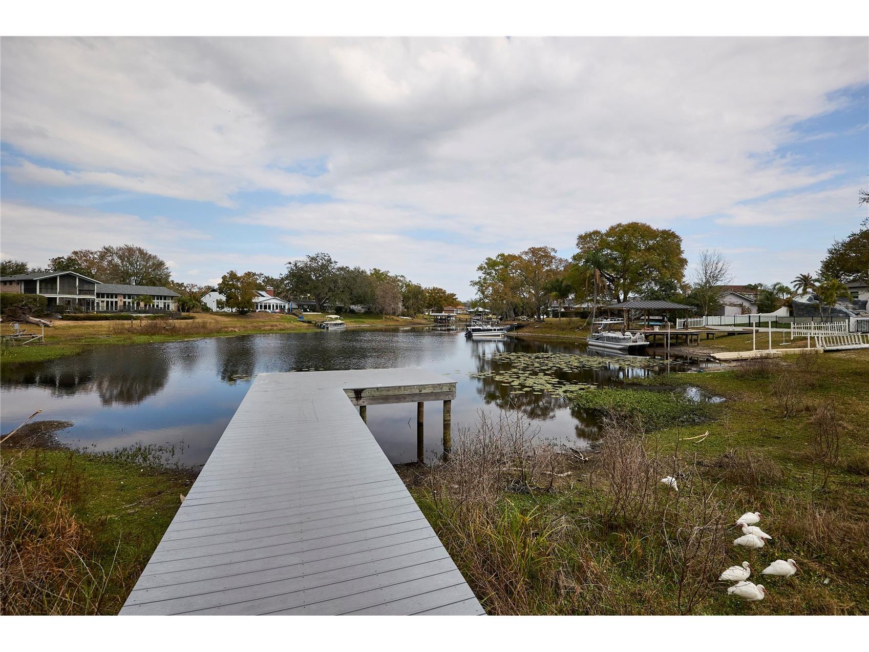 3312 Nakora Drive Tampa FL 33618 TB8527036 image57