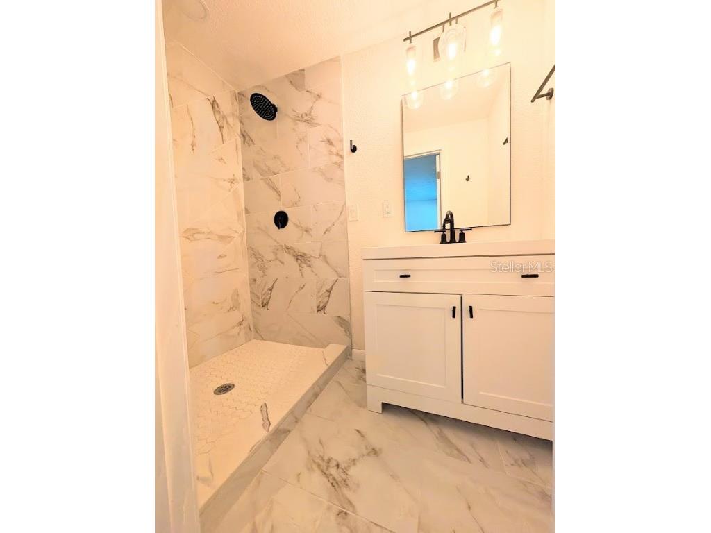 3312 W Pearl Avenue Tampa FL 33611 TB8414664 image18