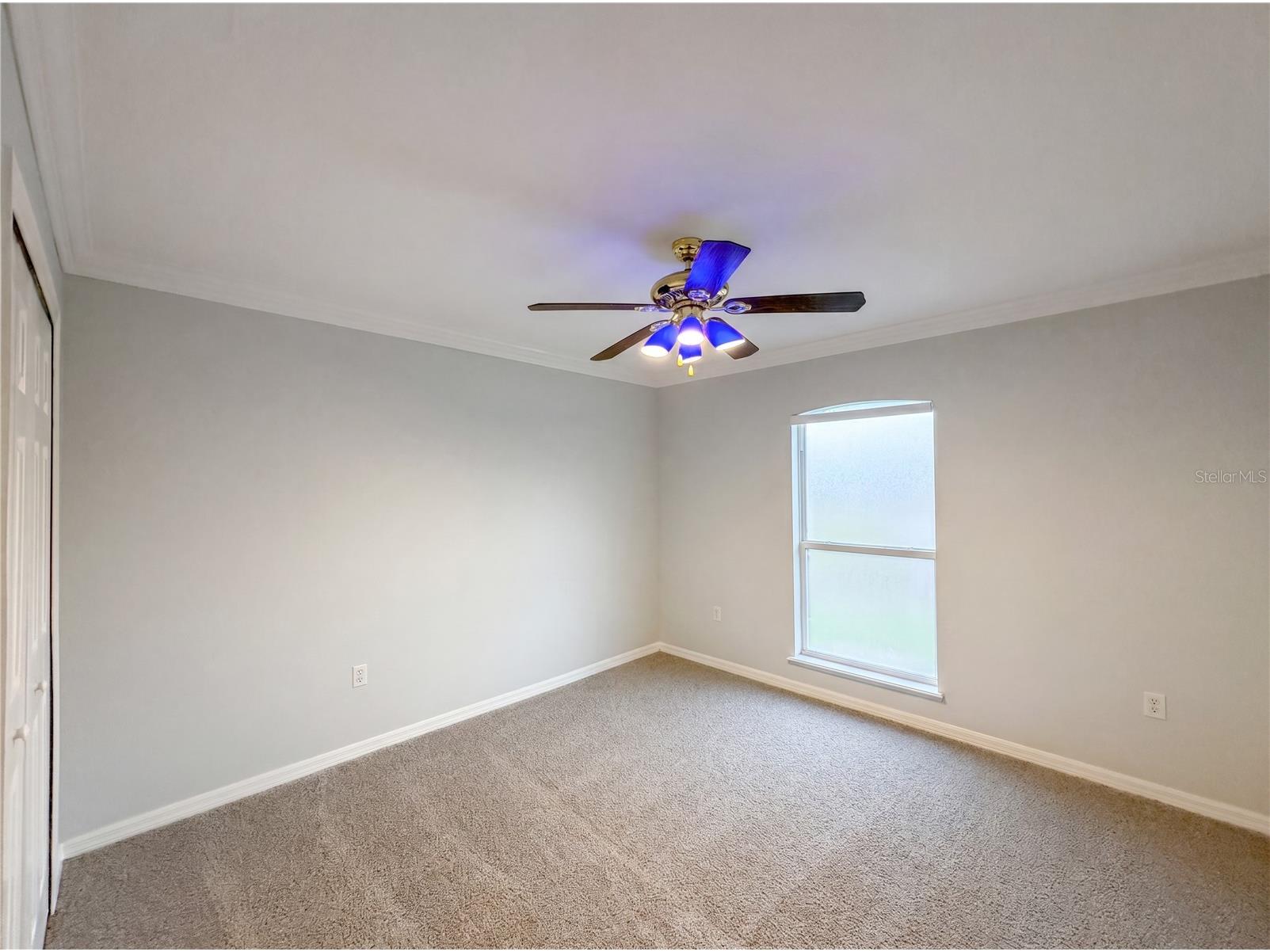 3312 White Blossom Lane Clermont FL 34711 O6413059 image18