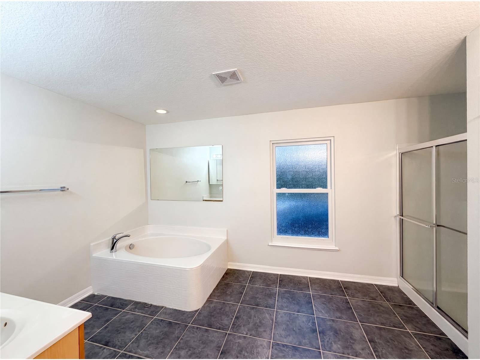 3312 White Blossom Lane Clermont FL 34711 O6413059 image21