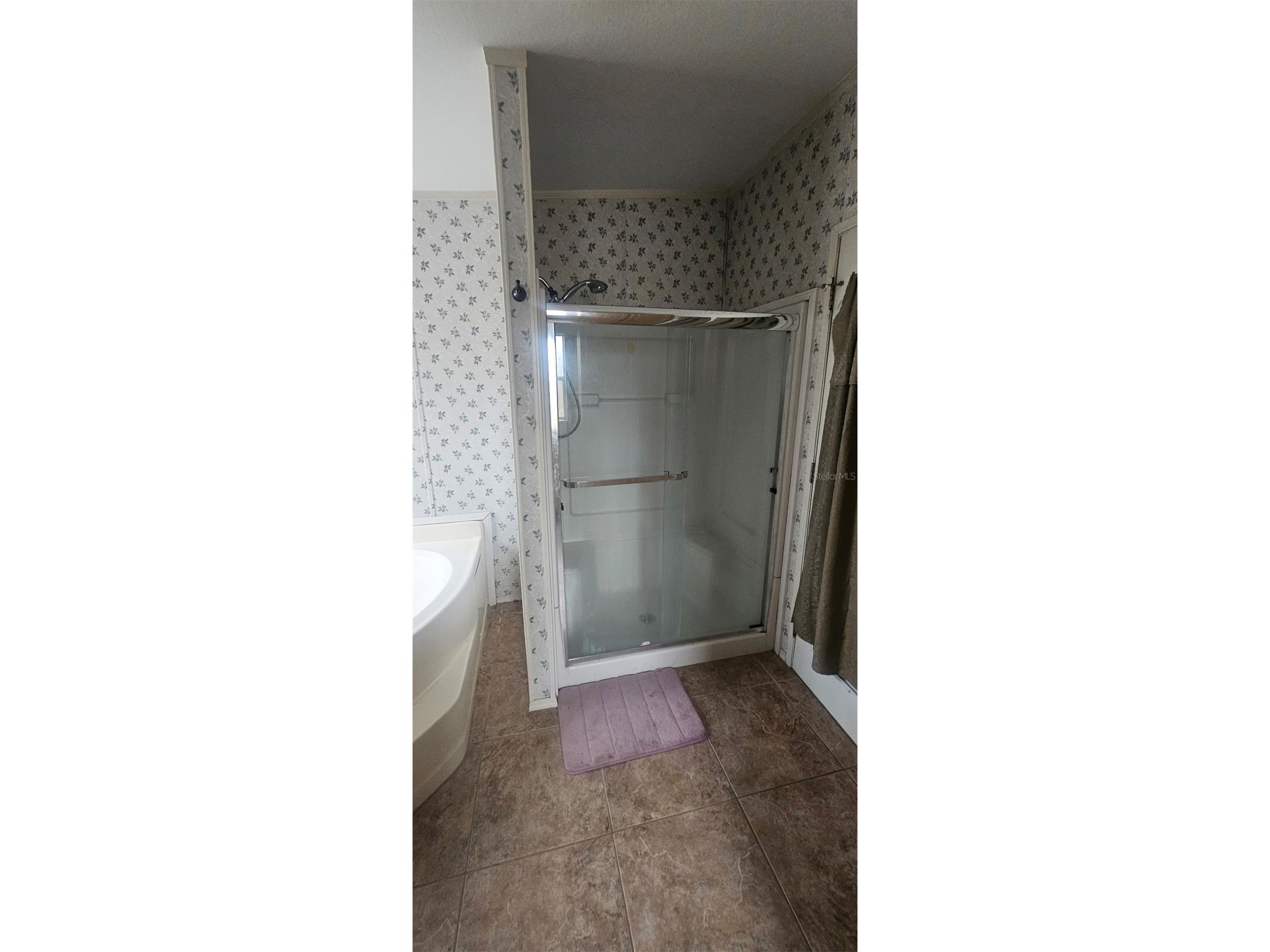 33124 Jamette Road Dade City FL 33523 A4666921 image8