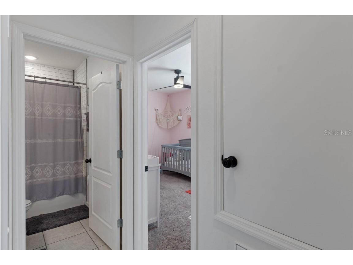 3313 Dorian Avenue Spring Hill FL 34606 W7880617 image28