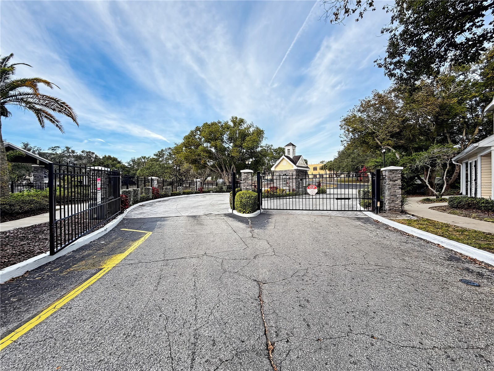 3313 Haviland Court #103 Palm Harbor FL 34684 W7883789 image13