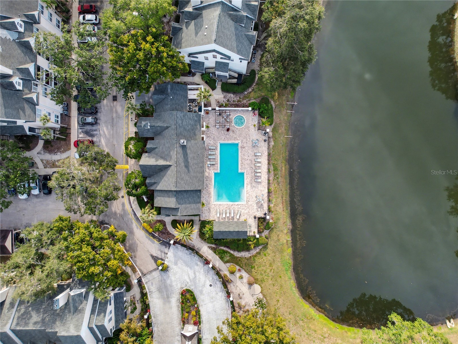 3313 Haviland Court #103 Palm Harbor FL 34684 W7883789 image18
