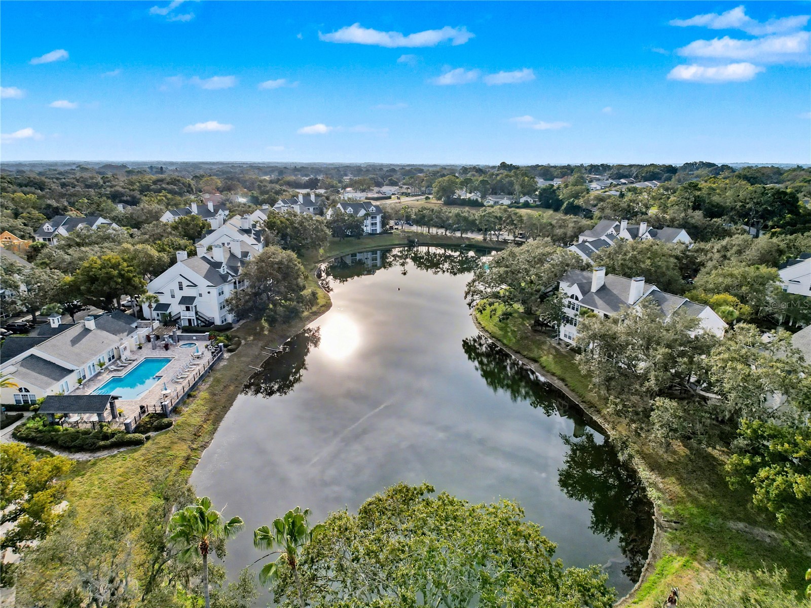3313 Haviland Court #103 Palm Harbor FL 34684 W7883789 image19