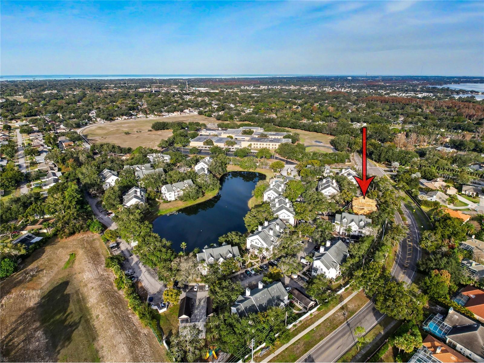 3313 Haviland Court #103 Palm Harbor FL 34684 W7883789 image20
