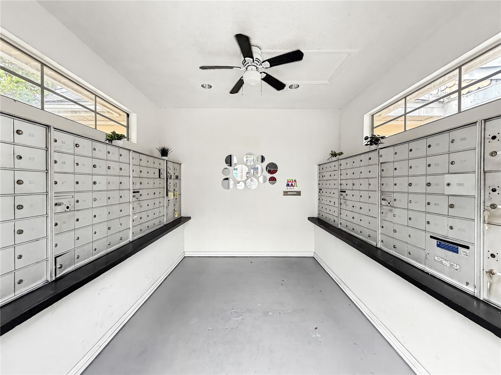 3313 Haviland Court #103 Palm Harbor FL 34684 W7883789 image22