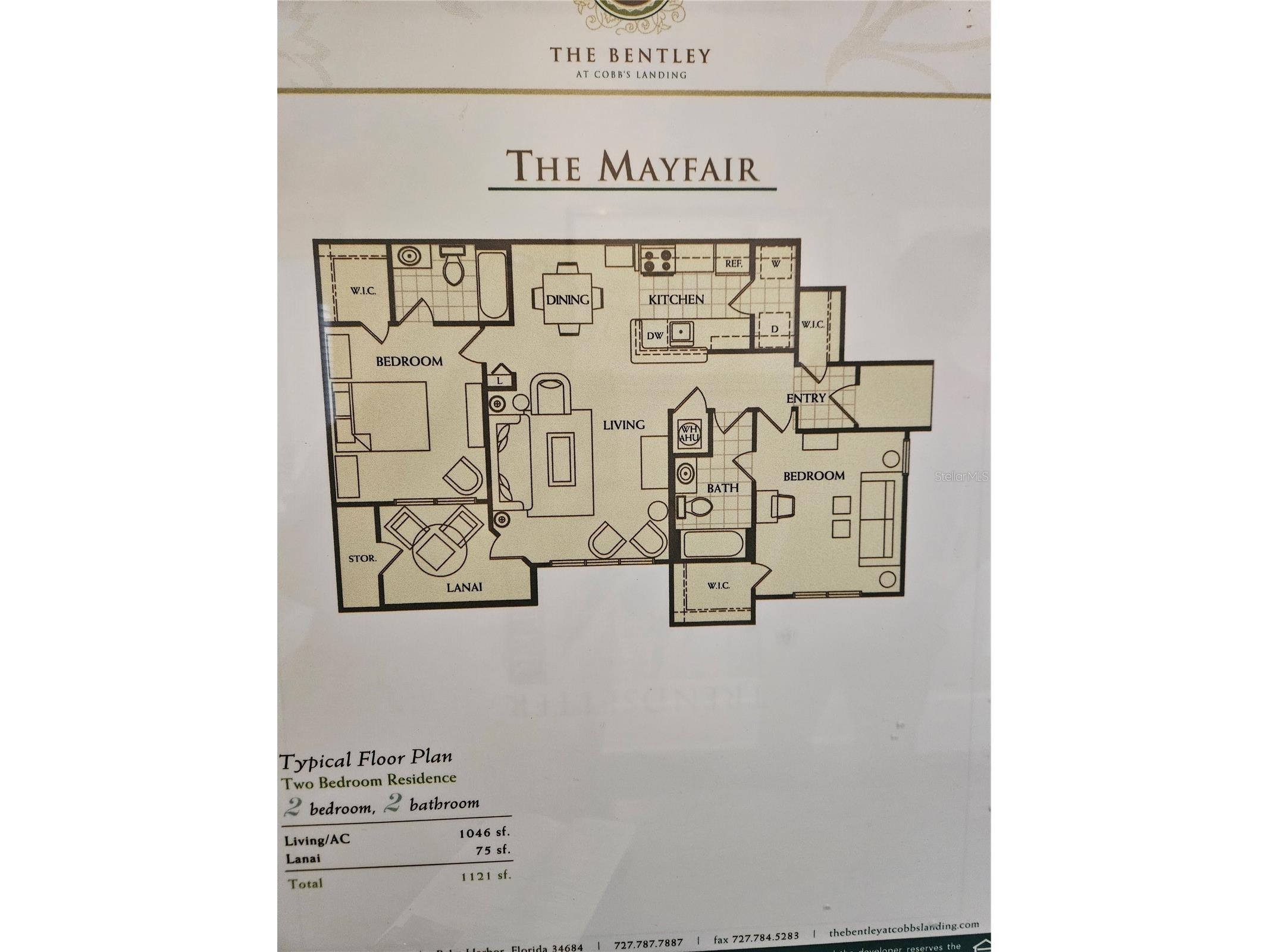 3313 Haviland Court #103 Palm Harbor FL 34684 W7883789 image23