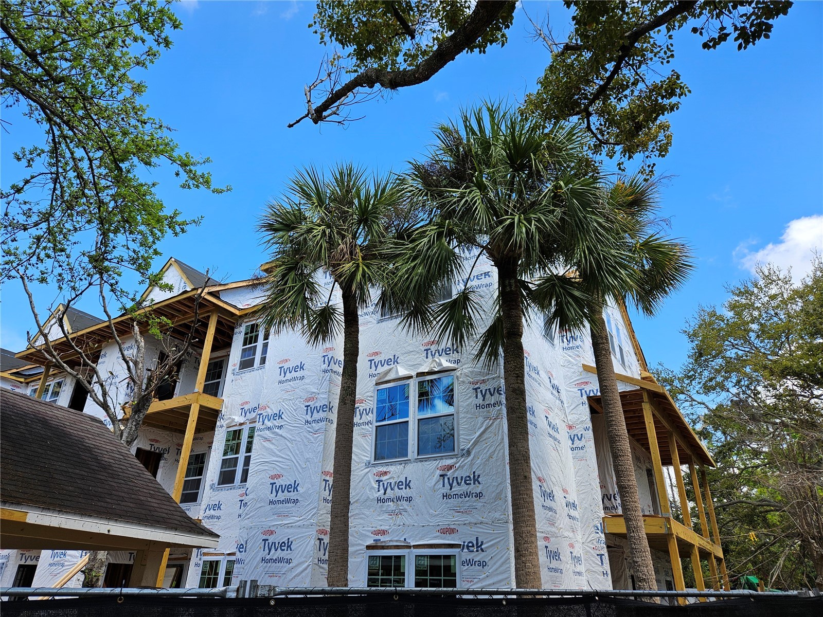 3313 Haviland Court #103 Palm Harbor FL 34684 W7883789 image3