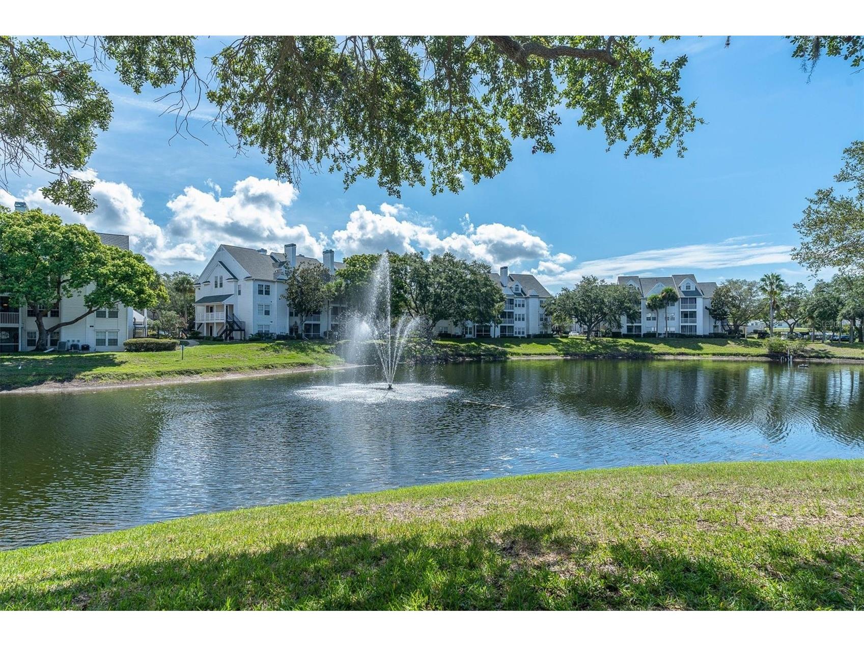 3313 Haviland Court #203 Palm Harbor FL 34684 TB8524059 image11