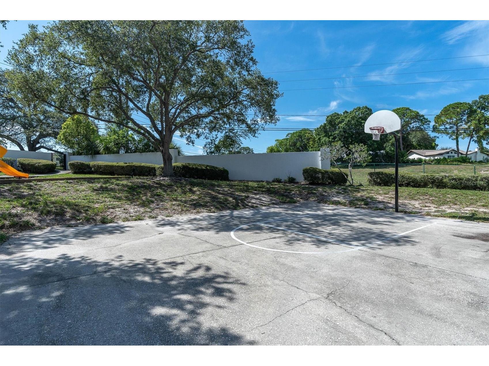 3313 Haviland Court #203 Palm Harbor FL 34684 TB8524059 image13