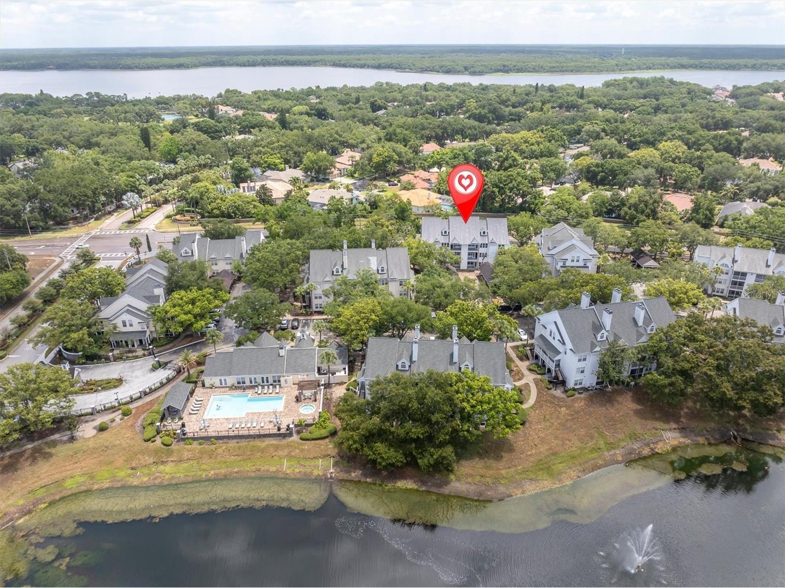 3313 Haviland Court #203 Palm Harbor FL 34684 TB8524059 image15