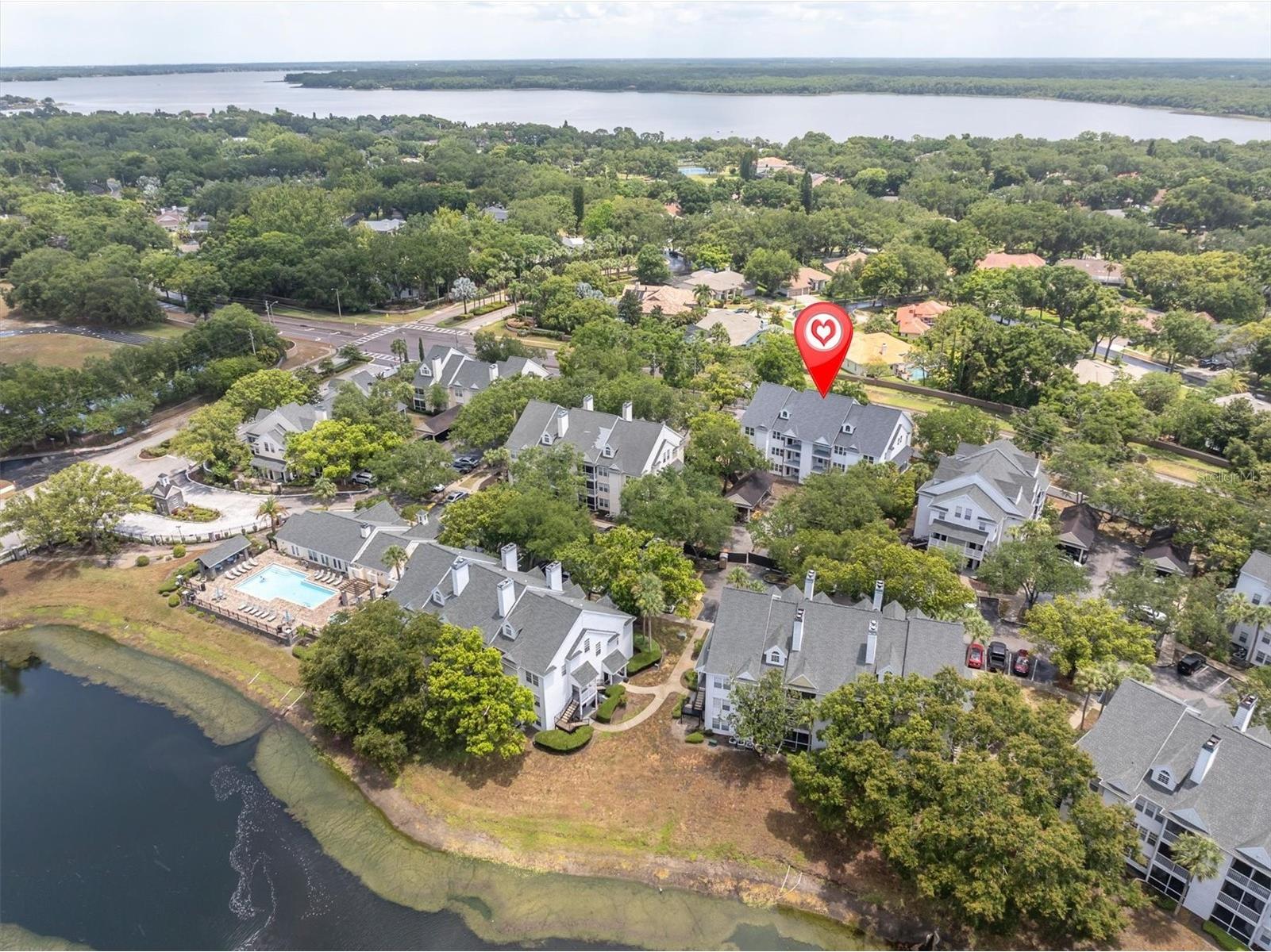 3313 Haviland Court #203 Palm Harbor FL 34684 TB8524059 image16