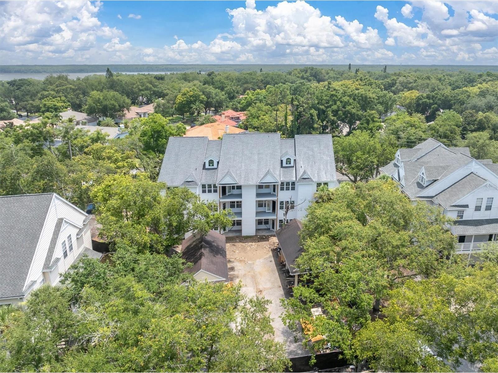 3313 Haviland Court #203 Palm Harbor FL 34684 TB8524059 image2